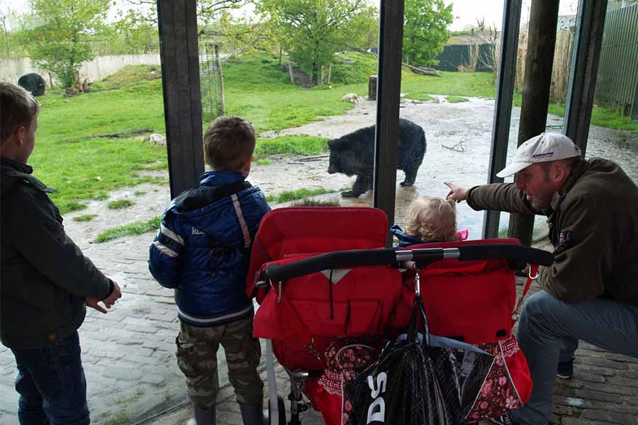 gezin bekijkt beren in Dierenrijk